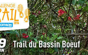 résultats bassin boeuf