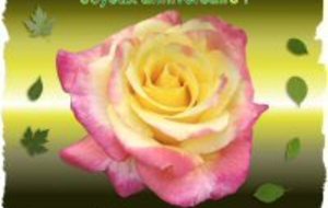 anniversaire de yasmina