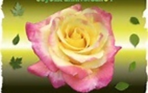 anniversaire de danielle sautron