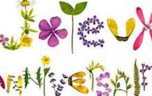 ANNIVERSAIRE DE CASTAGNET PASCAL