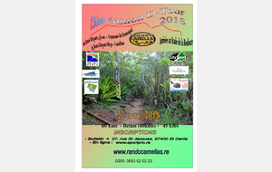  D-Tour &quot;Saint Denis par les Hauts&quot;