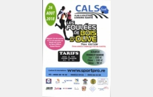 LES FOULEES DE BOIS D'OLIVES